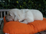 web_DSC05943