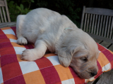 web_DSC06076