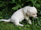 web_DSC06127