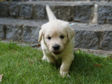 web_DSC06143