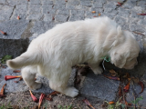 web_DSC06204