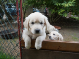 web_DSC06247