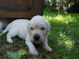 web_bIANCA_DSC06043