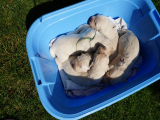 web_DSC05933