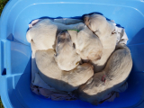 web_DSC05934