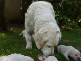 web_DSC06003