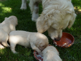 web_DSC06011